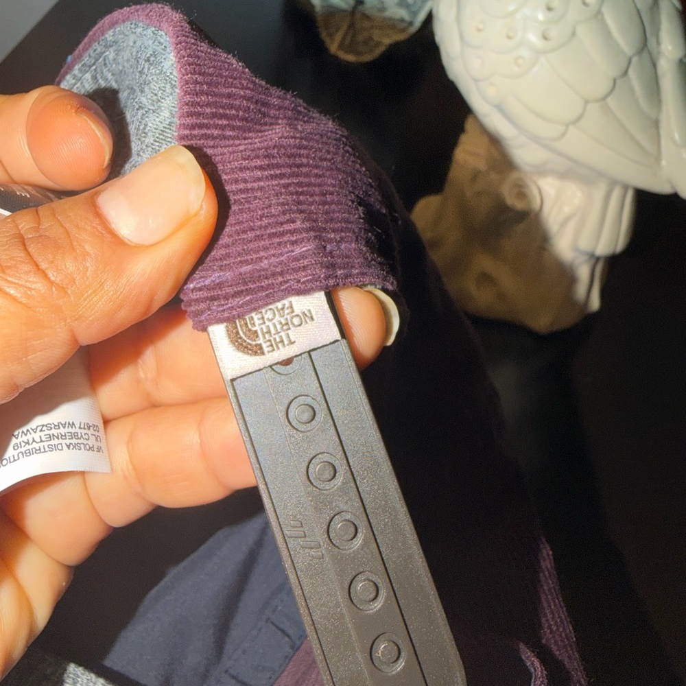The North Face Plum Corduroy Cap - Picture 5 of 7